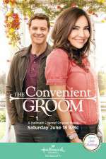 Watch The Convenient Groom 1channel