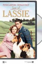 Watch Son of Lassie 1channel