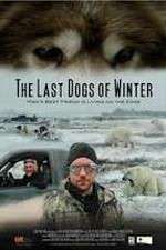 Watch The Last Dogs of Winter 1channel