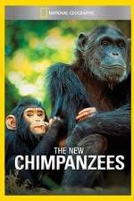 Watch The New Chimpanzees 1channel