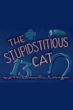 Watch The Stupidstitious Cat 1channel