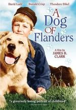 Watch A Dog of Flanders 1channel