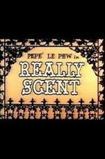 Watch Really Scent (Short 1959) 1channel