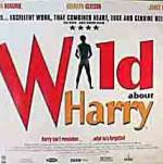 Watch Wild About Harry 1channel