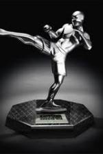Watch World MMA Awards 2010 1channel