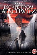 Watch The Escape from Auschwitz 1channel