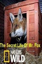 Watch The Secret Life of Mr. Fox 1channel