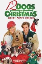 Watch 12 Dogs of Christmas Great Puppy Rescue 1channel