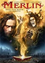 Watch Merlin and the Book of Beasts 1channel