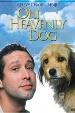 Watch Oh Heavenly Dog 1channel