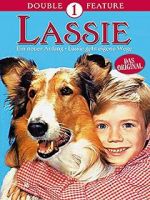 Watch Lassie: A New Beginning 1channel