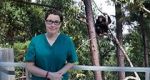 Watch Sue Perkins and the Chimp Sanctuary 1channel