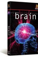 Watch The Brain 1channel