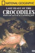 Watch National Geographic: The Last Feast of the Crocodiles 1channel