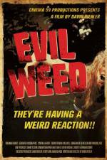 Watch Evil Weed 1channel