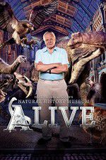 Watch David Attenborough\'s Natural History Museum Alive 1channel