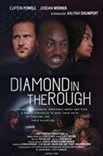 Watch Diamond in the Rough 1channel