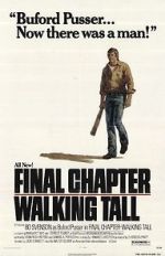 Watch Final Chapter: Walking Tall 1channel