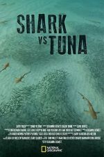 Watch Shark vs Tuna 1channel