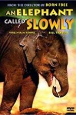 Watch An Elephant Called Slowly 1channel