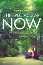 Watch The Spectacular Now 1channel