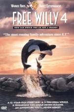 Watch Free Willy Escape from Pirate's Cove 1channel