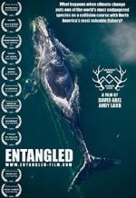 Watch Entangled: The Race to Save Right Whales from Extinction 1channel