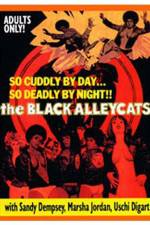 Watch The Black Alley Cats 1channel