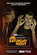 Watch Mr. Saturday Night 1channel