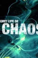 Watch The Secret Life of Chaos 1channel
