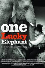 Watch En lycklig elefant 1channel