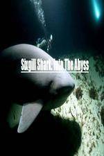 Watch National Geographic Wild Sixgill Shark Into The Abyss 1channel