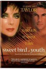 Watch Sweet Bird of Youth 1channel