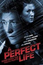 Watch A Perfect Life 1channel