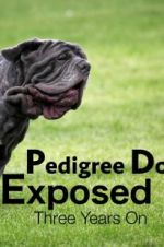 Watch Pedigree Dogs Exposed, Three Years On 1channel