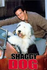 Watch The Shaggy Dog 1channel