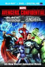 Watch Avengers Confidential: Black Widow & Punisher 1channel
