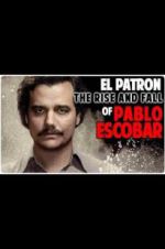 Watch The Rise and Fall of Pablo Escobar 1channel