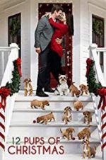 Watch 12 Pups of Christmas 1channel