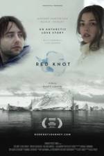 Watch Red Knot 1channel