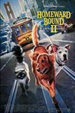 Watch Homeward Bound II: Lost in San Francisco 1channel