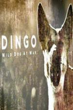 Watch Dingo Wild Dog at War 1channel