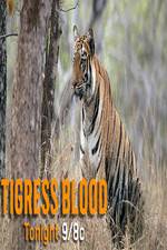 Watch Discovery Channel-Tigress Blood 1channel