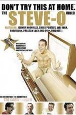 Watch Don't Try This at Home The Steve-O Video 1channel