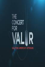 Watch The Concert for Valor 1channel