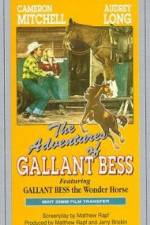 Watch Adventures of Gallant Bess 1channel