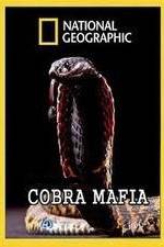 Watch National Geographic Cobra Mafia 1channel