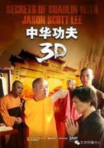 Watch Secrets of Shaolin with Jason Scott Lee 1channel