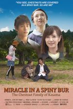 Watch Miracle in Kasama 1channel