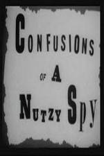 Watch Confusions of a Nutzy Spy 1channel